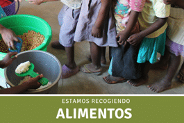 Nueva recogida de "Alimentos para Malaui"