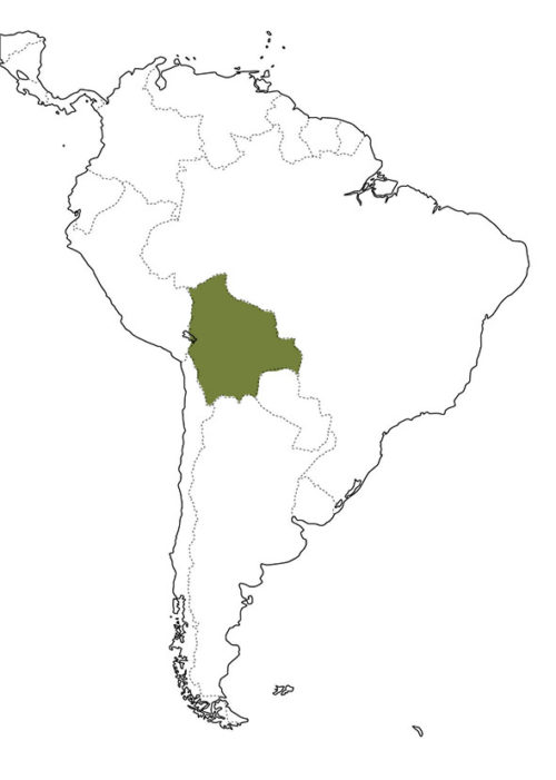 bolivia-map