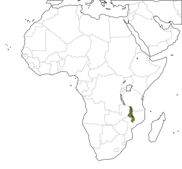 malawi-map