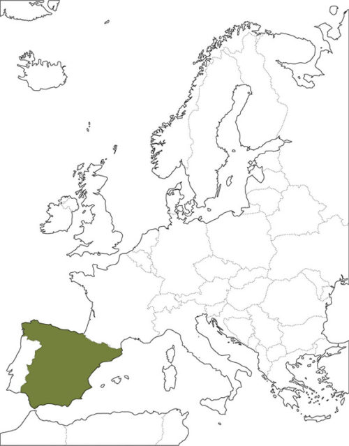 spain-map